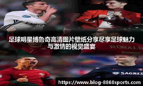 足球明星博鲁奇高清图片壁纸分享尽享足球魅力与激情的视觉盛宴